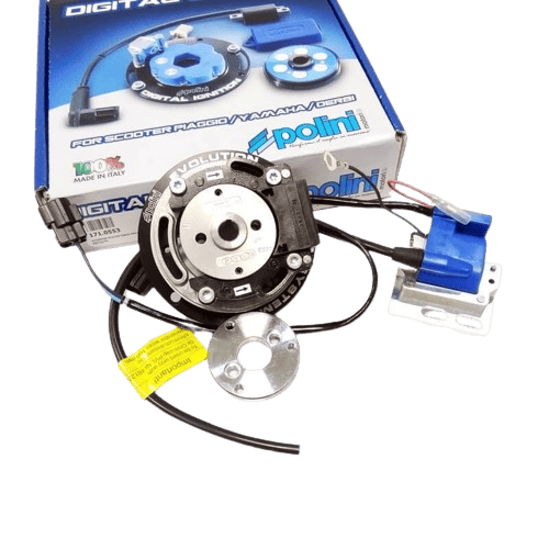 rotor-minarelli-horizontal-lc-polini-digital-triguero-racing-motor