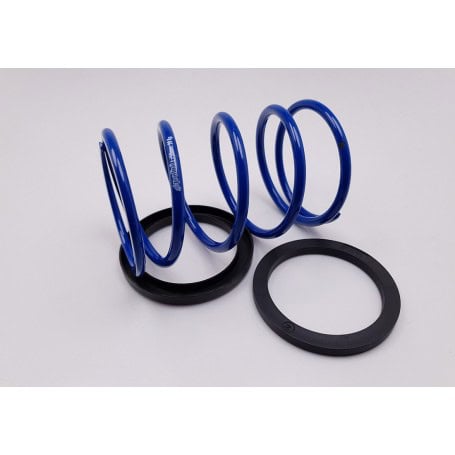 muelle-de-polea-polini-evo-slider-d46-piaggiominarelli