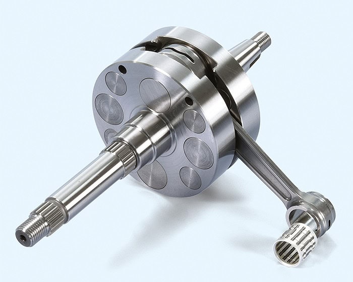 ciguenal-pre4-100-2100086